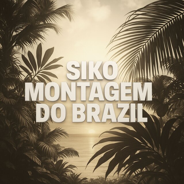MONTAGEM DO BRAZIL