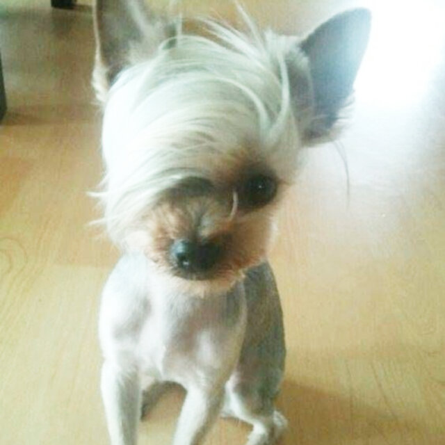 haircuts