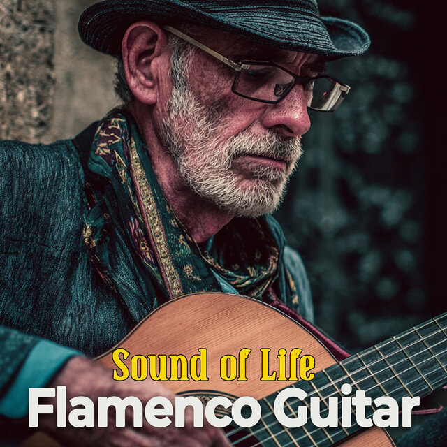 Sound of Life Flamenco Guitar
