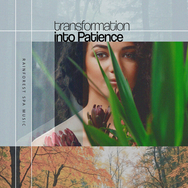 Transformation into Patience