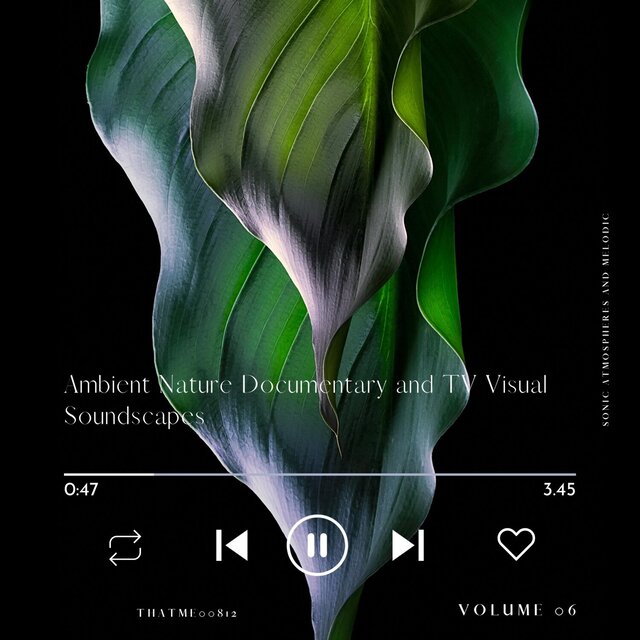 Ambient Nature Documentary and TV Visual Soundscapes - Sonic Atmospheres and Melodic, Vol. 06