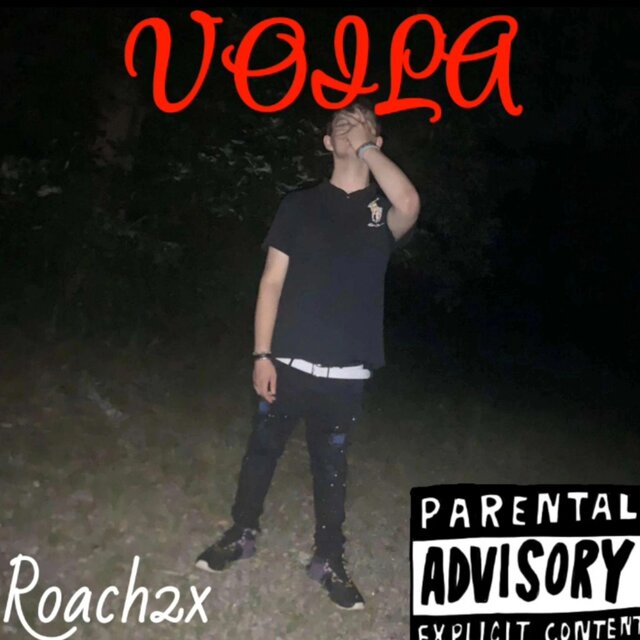VOILA