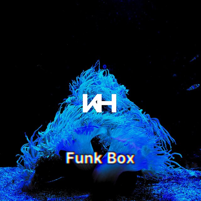 Funk Box