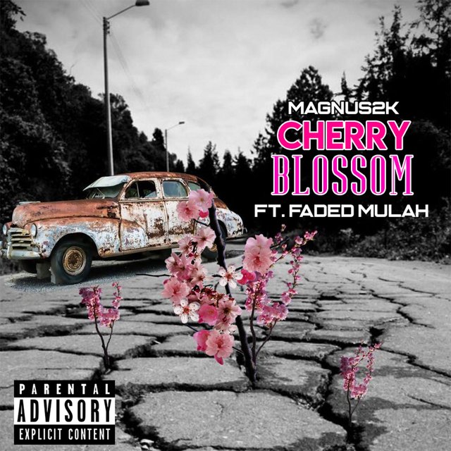 Cherry Blossom (feat. Faded Mulah)