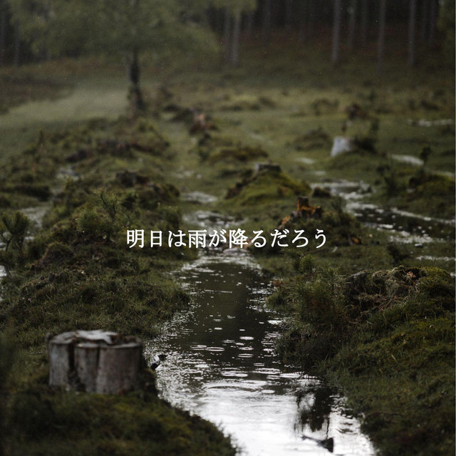 明日は雨が降るだろう