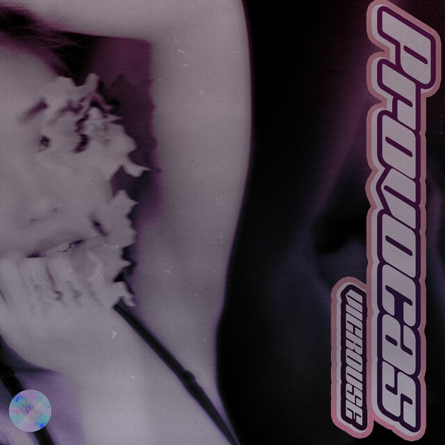 PROVOCAS (Demo)