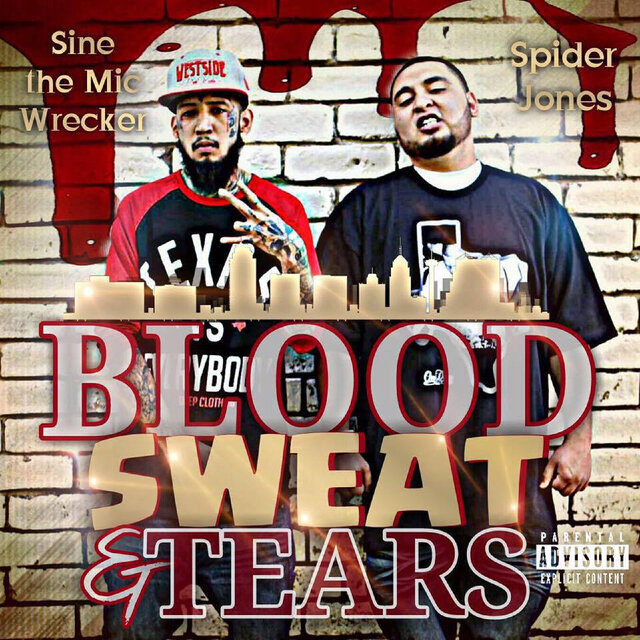 Blood Sweat n Tears