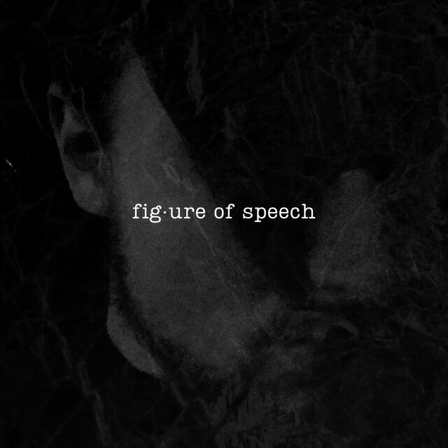 Figure of Speech