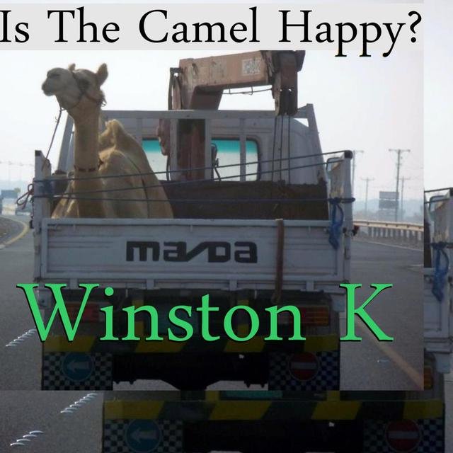 Is the Camel Happy?