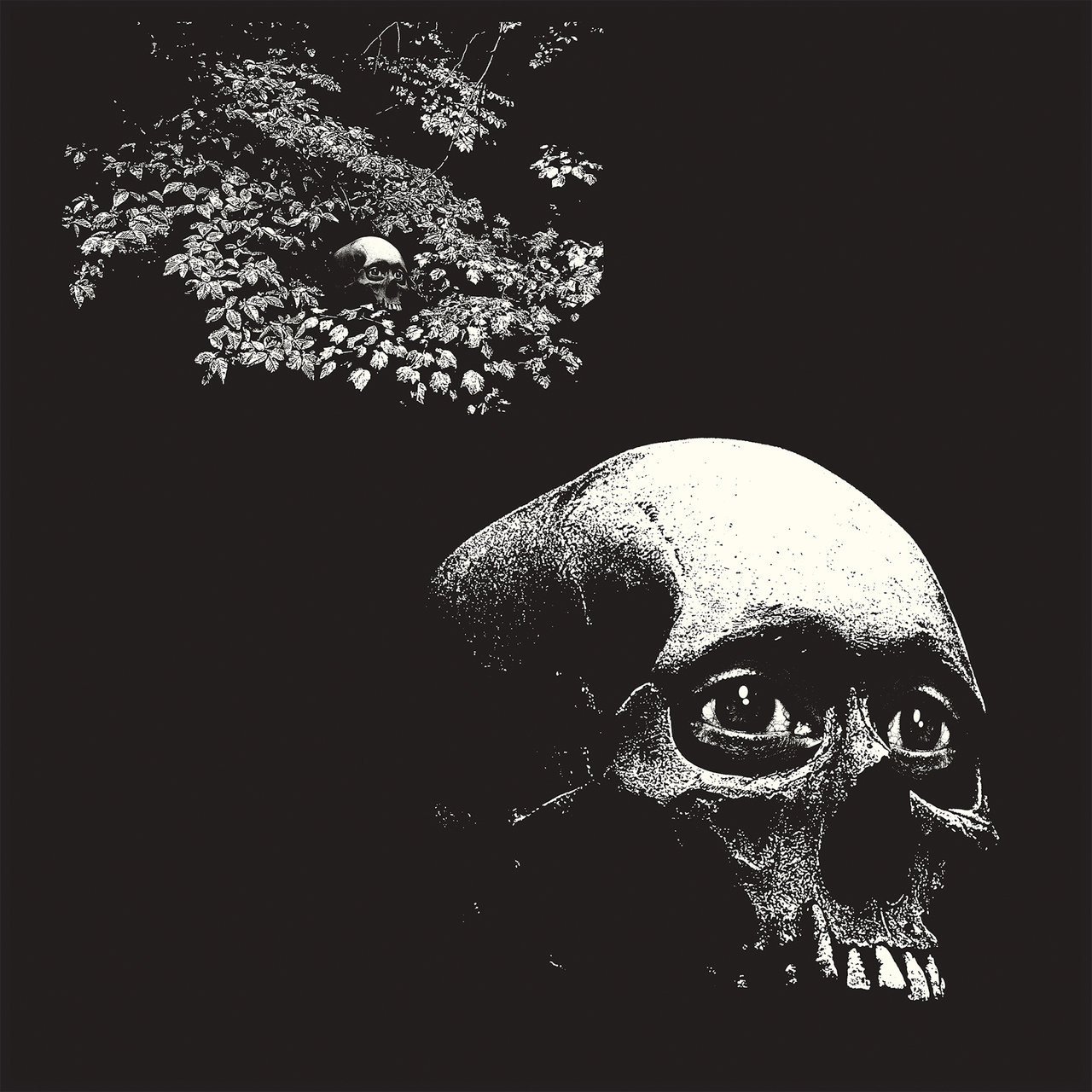 "A Foul Form" by Osees