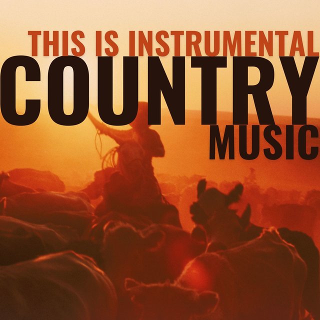 This Is Instrumental Country Music