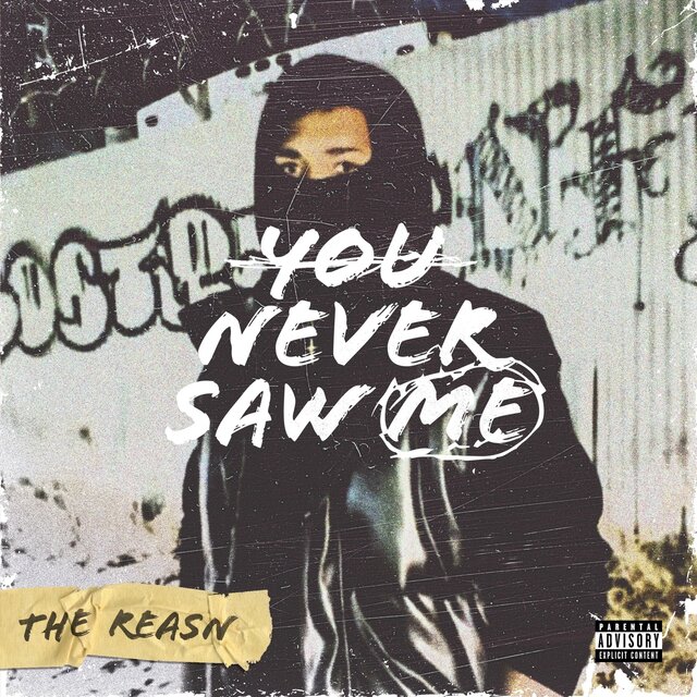 You Never Saw Me
