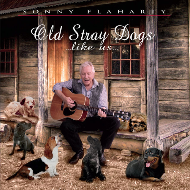 Old Stray Dogs Like Us