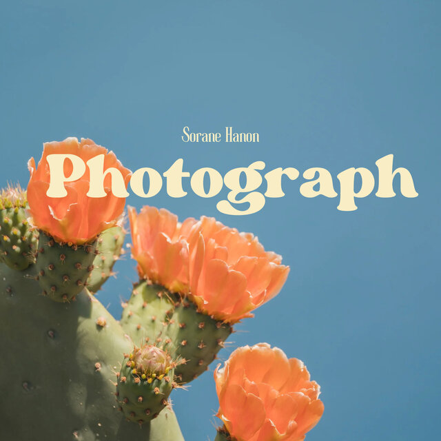 Photograph