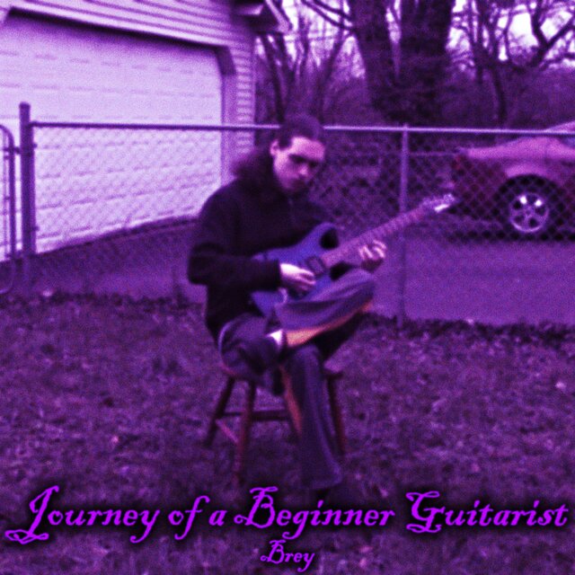 Journey of a Beginner Guitarist