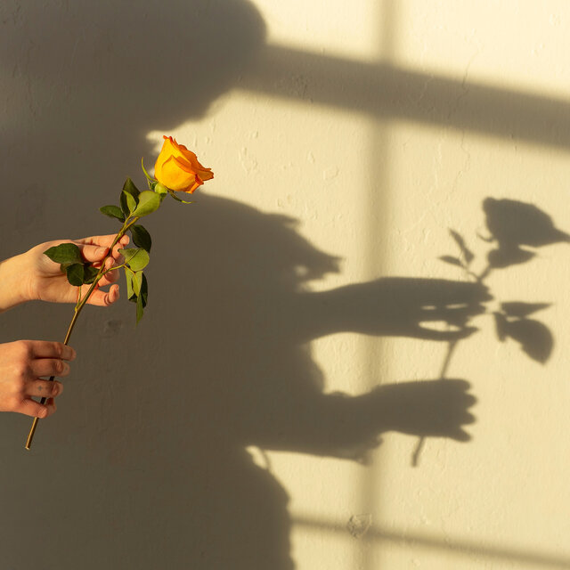 Light & Shadow