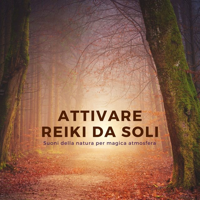 Attivare reiki da soli: Suoni della natura per magica atmosfera