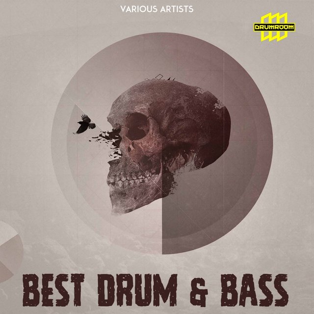 Best Drum & Bass