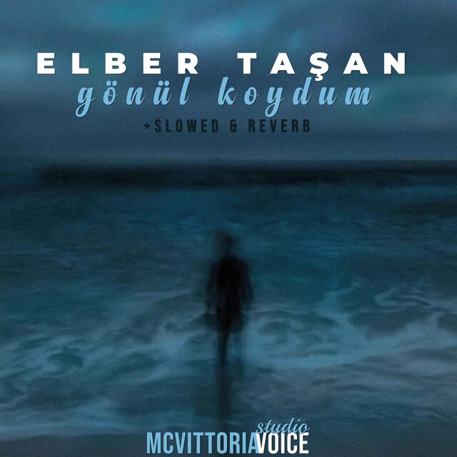 Gönül Koydum