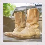 Old Red Wings
