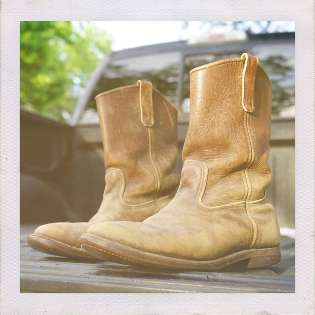 Old Red Wings