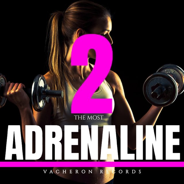 Adrenaline, Vol. 2