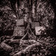 Cover art for album Harmony of Difference by Kamasi Washington