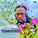 Bass Lobolo (feat. STEYNCER)