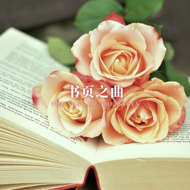 书页之曲