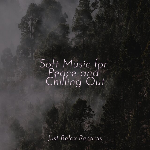 Soft Music for Peace and Chilling Out