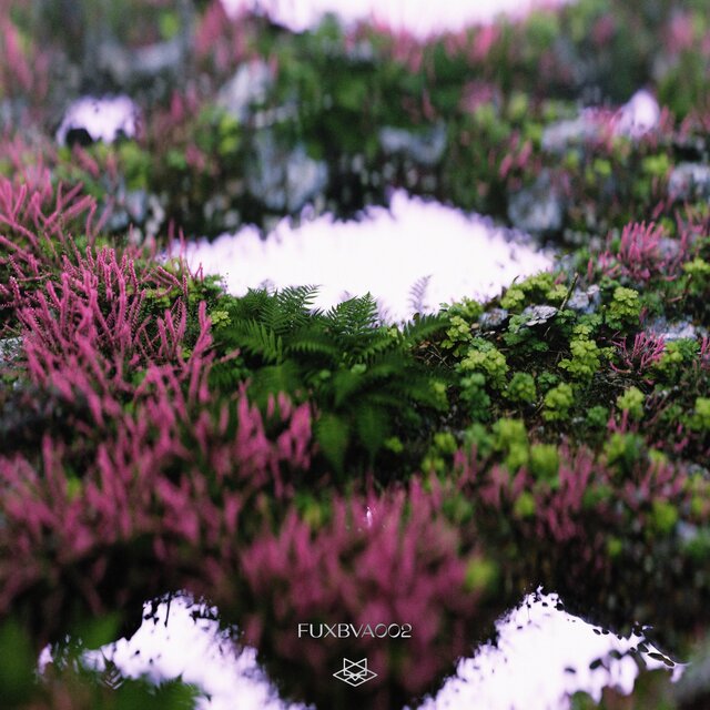 Fuxbau VA 002