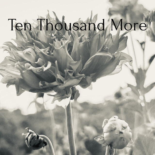 Ten Thousand More