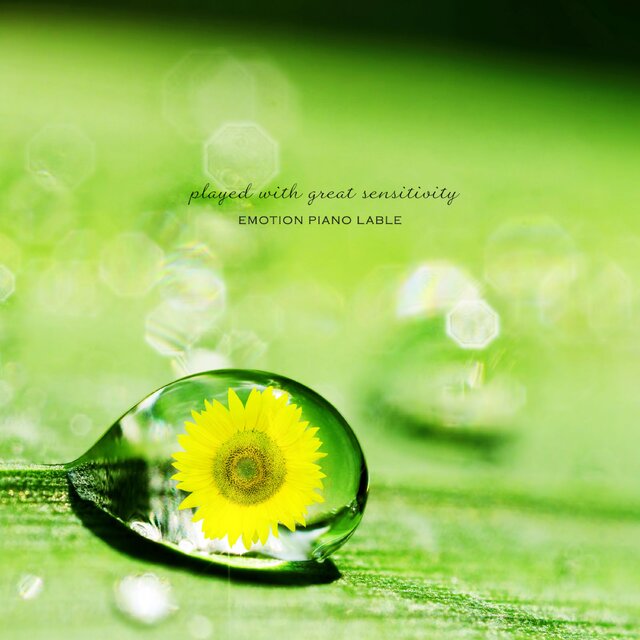 Flower Rain