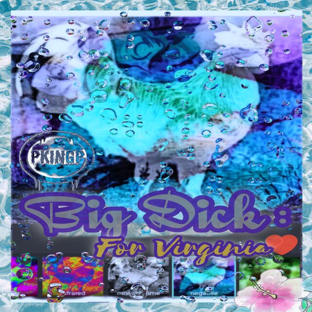 Big Dikc : For Virginia