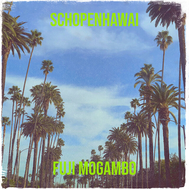 Schopenhawai