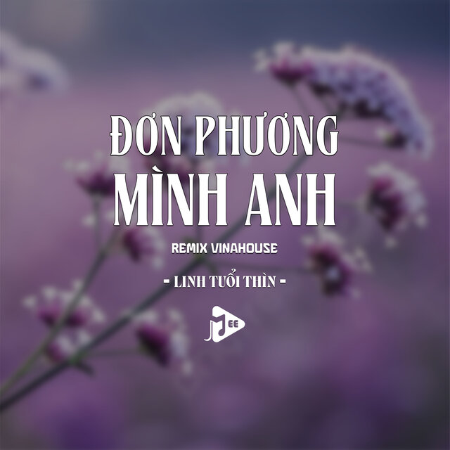 Đơn Phương Mình Anh (Remix Vinahouse)