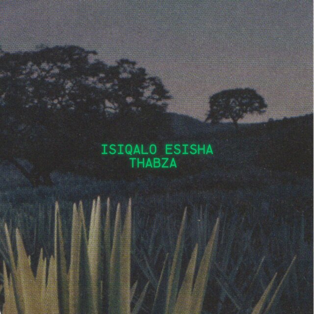 ISIQALO ESISHA