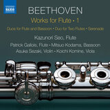 Duo for Clarinet & Bassoon in B-Flat Major, WoO 27 No. 3 (Arr. K. Seo for Flute & Bassoon): II. Aria con variazioni. Andantino con moto - Allegro assai