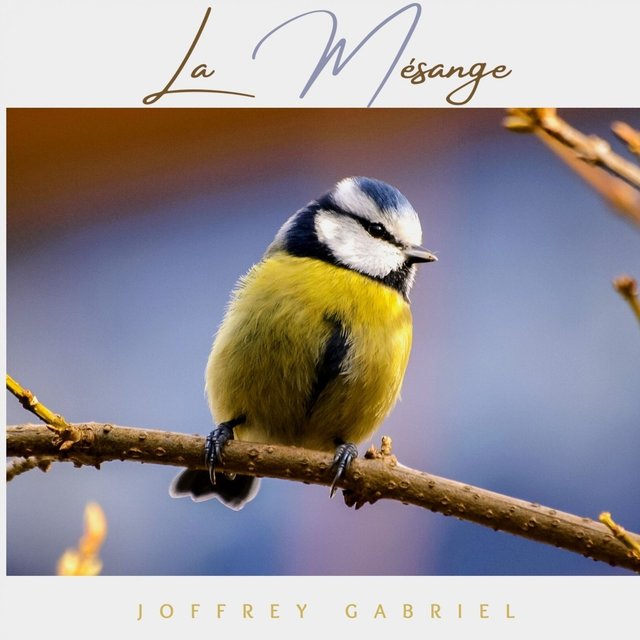 La Mésange