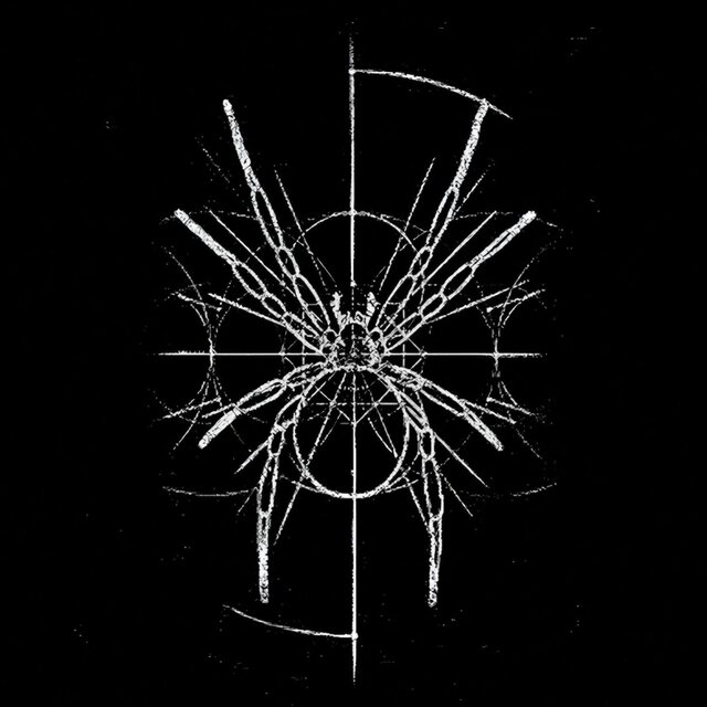 SPYDER