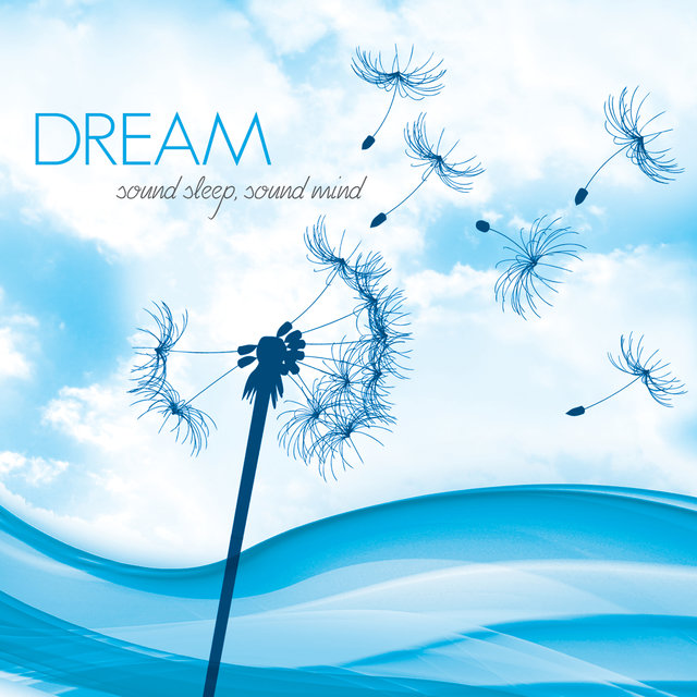 Dream: Sound Sleep