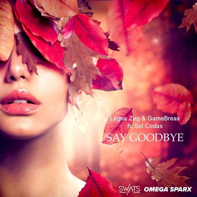 Say Goodbye (feat. Legna Zeg & Sol Codas)