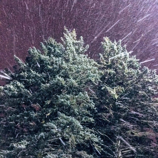 Christmastime
