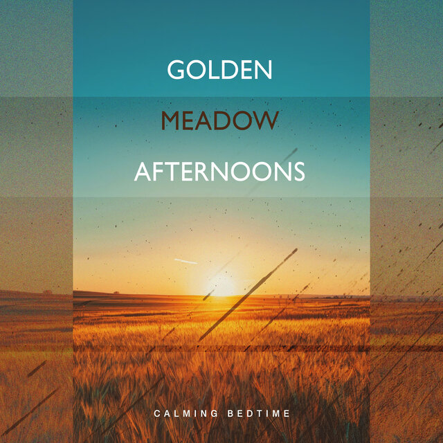 Golden Meadow Afternoons