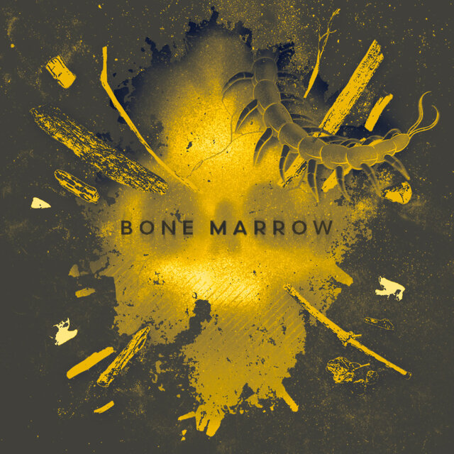 Bone Marrow