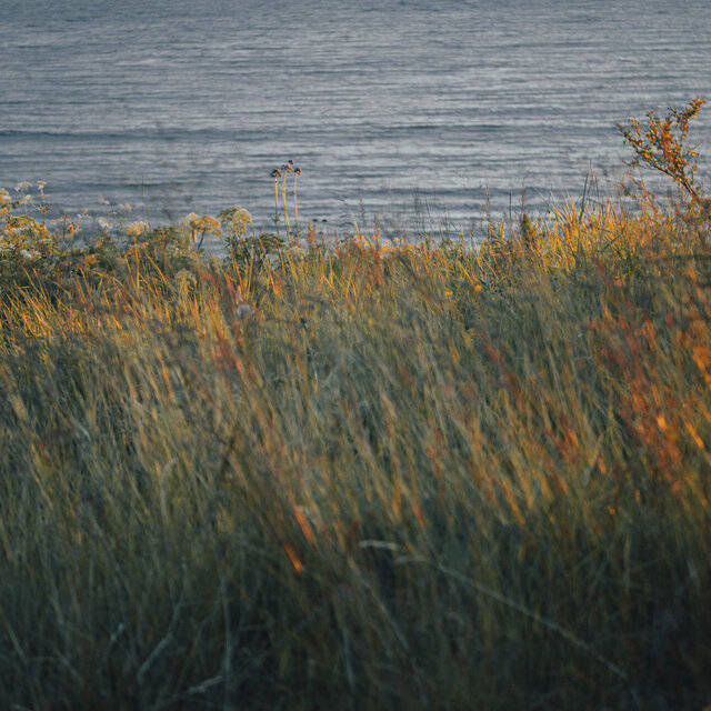 Sesiones del Viento