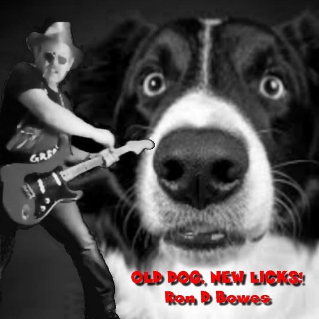 Old Dog, New Licks