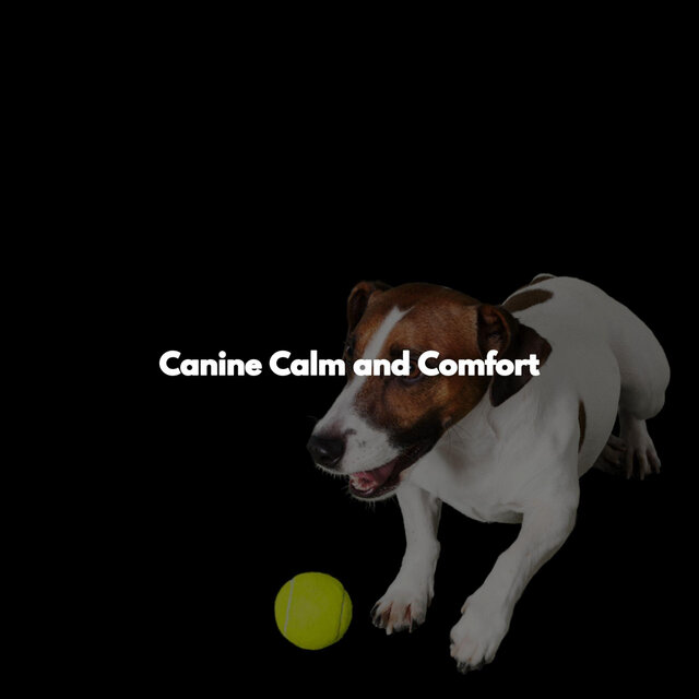 Canine Calm and Comfort