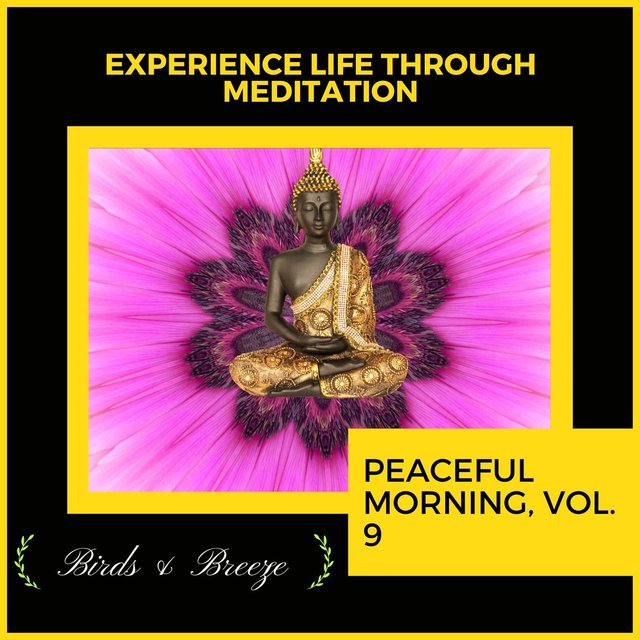 Experience Life Through Meditation - Peaceful Morning, Vol. 9