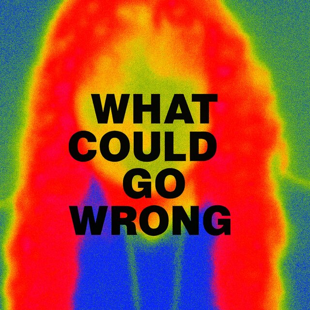WHAT COULD GO WRONG